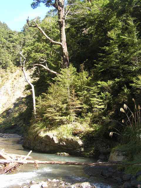 NZ leden-unor 2006 223.jpg